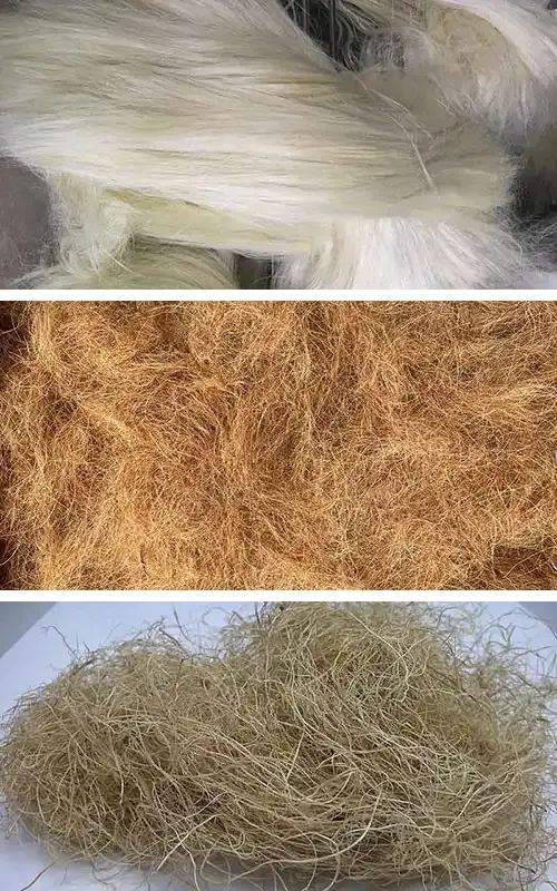 Loose sisal, coir and palm fibres before baling