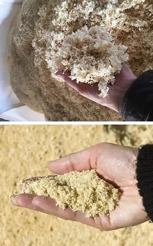 Loose wood shavings and fine sawdust for packaging
